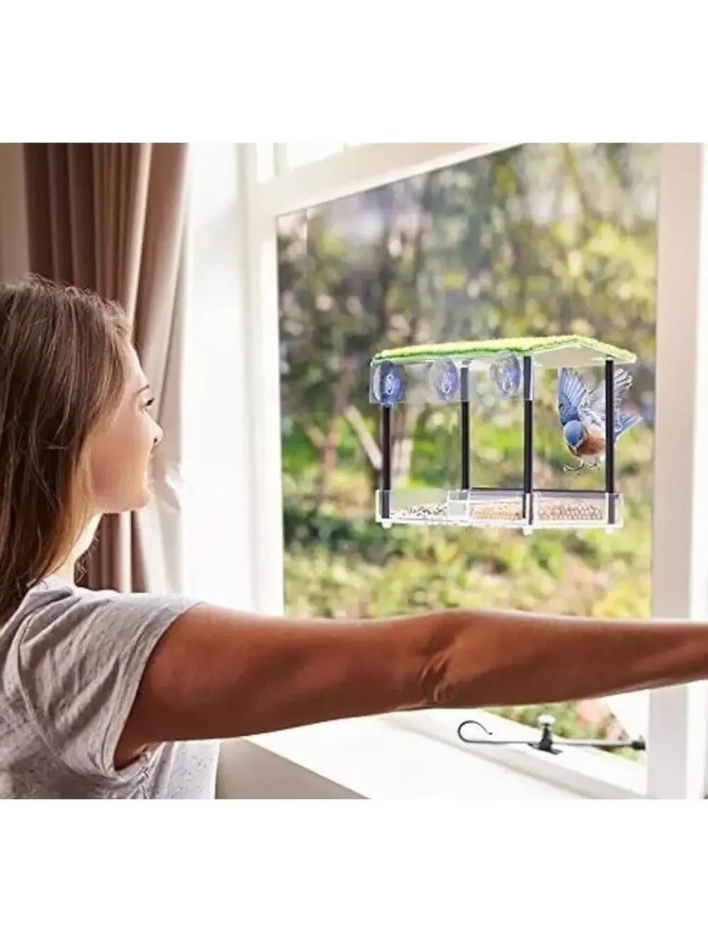 Window Bird Feeder Outdoor Strong Suction Cup Water Drain Transparent Viewing